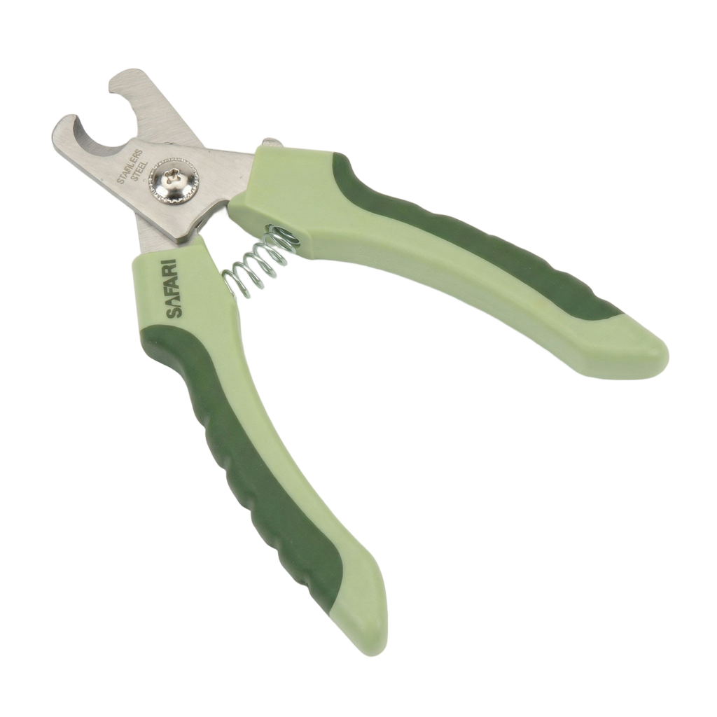 Morkie Nail Trimming